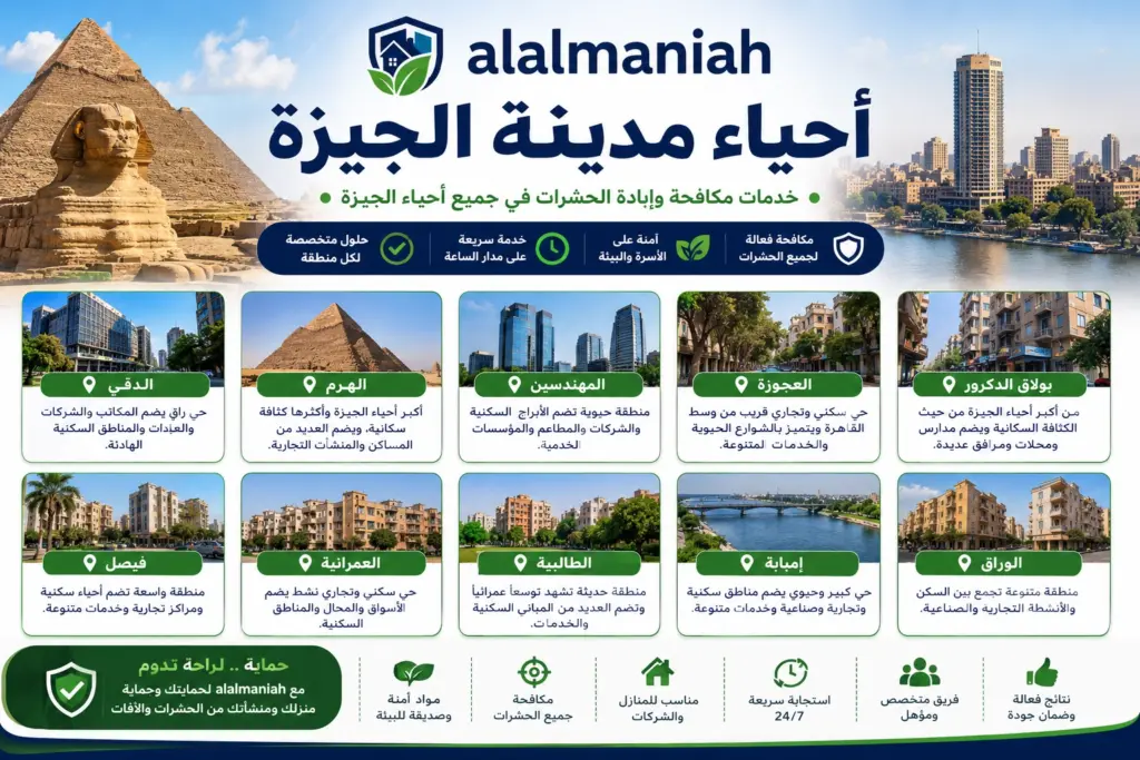 احياء مدينة الجيزة